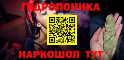 прущие грибы Малгобек