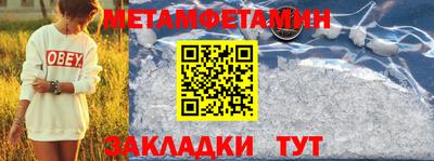 прущие грибы Малгобек